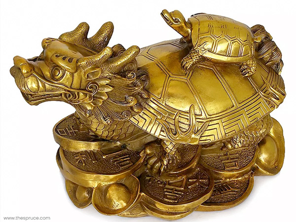 6. ಮರದ ಆಮೆ