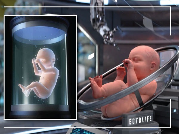  ಎಕ್ಟೋಲೈಫ್ ಎಂದರೇನು?