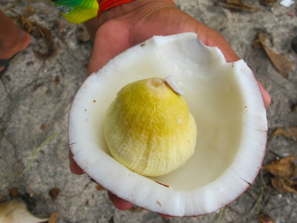  ಜೀರ್ಣಕ್ರಿಯೆ ತುಂಬಾ ಸಹಕಾರಿ