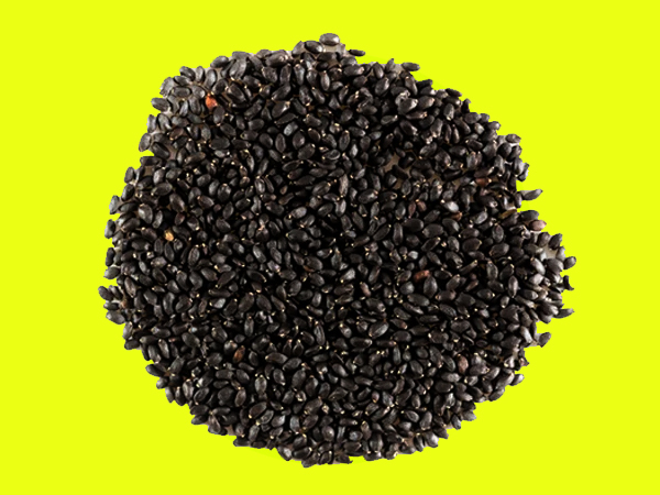  ತುಳಸಿ ಬೀಜದಲ್ಲಿರುವ ಪೋಷಕಾಂಶಗಳು