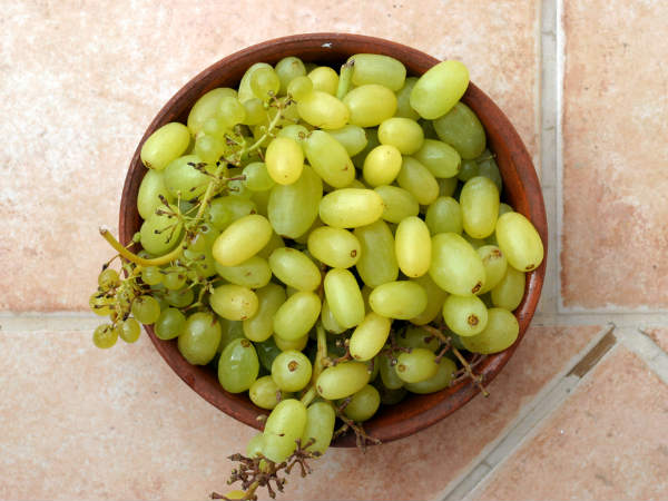 ಷಾಂಪೇನ್