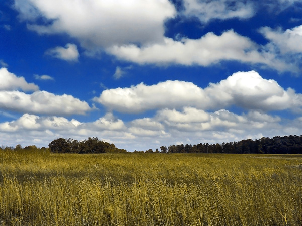 ಸಾಯುವ ಮುಂಚೆ ದಿನ ಅದೇ ಧ್ವನಿ ಕೇಳಿಸುತ್ತೆ