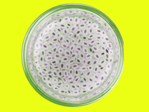 ಮಲಬದ್ಧತೆ ಸಮಸ್ಯೆ ಹೋಗಲಾಡಿಸುತ್ತದೆ