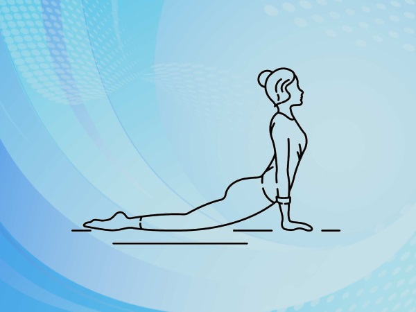 3. ಭುಜಾಂಗಸಾನ: