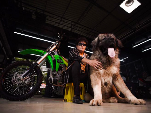 Caucasian Shepherd dog,