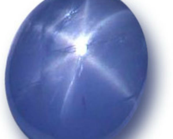 3. ನೀಲ ನಿಧಿ