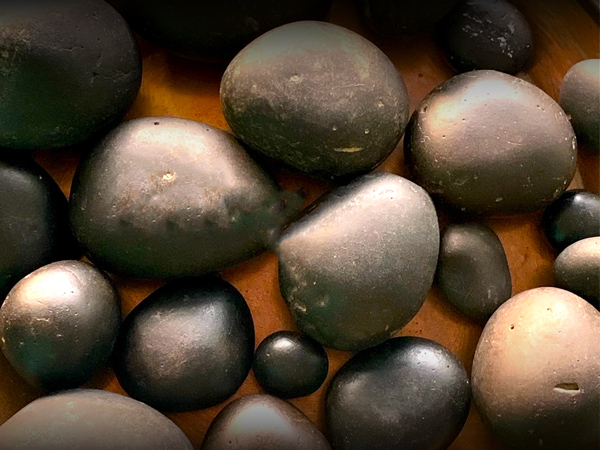  ಸಾಲಿಗ್ರಾಮವನ್ನು ನೀವು ದುಡಿದ ಹಣದಿಂದಲೇ ಖರೀದಿಸಬೇಕು 