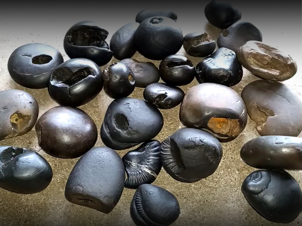  ಸಾಲಿಗ್ರಾಮ ಮೇಲೆ ಅಕ್ಷತೆ ಹಾಕಬಾರದು