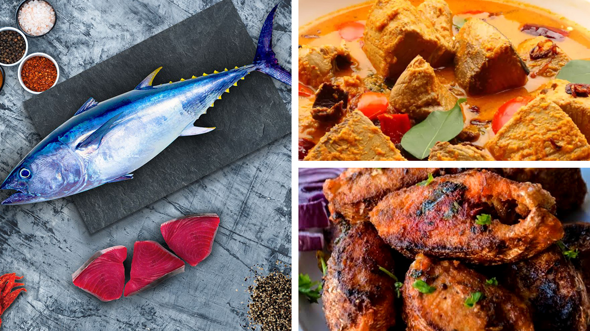 Mercury In Tuna Mercury In Tuna