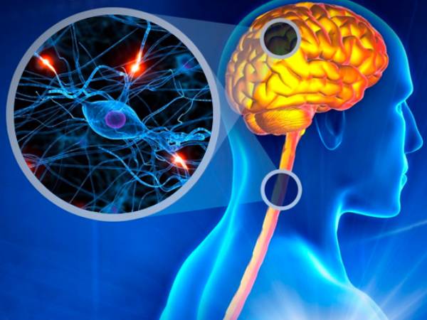 Signs & Symptoms of Calcium Deficiency in Kannada