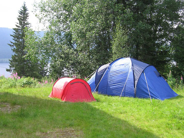 Tips For Finding the Right Summer Camp in Kannada