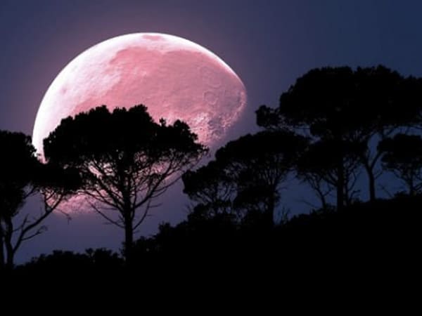 The Full Pink Moon in Libra on 6 April 2023: Know Effects On Zodiac Signs in Kannada