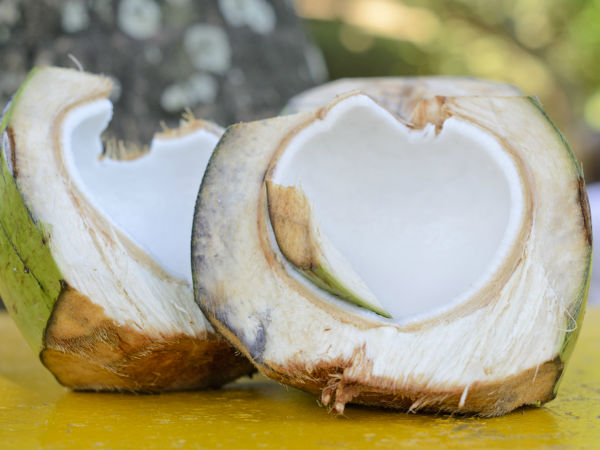 Heatwave : Health Benefits of Eating Coconut Malai in This Summer in Kannada