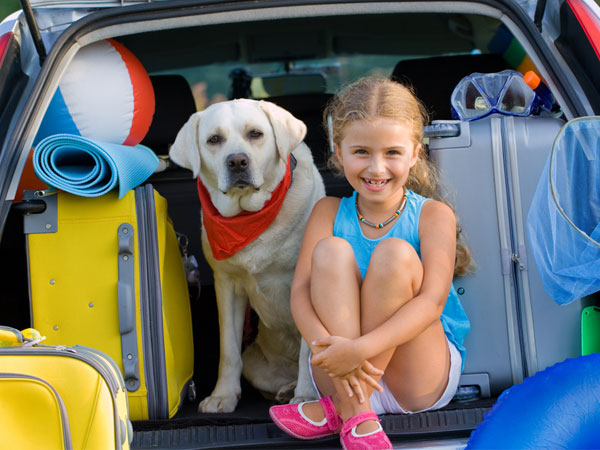 Heatwave: Tips to Protect Your Pets From Summer Heat in Kannada Heatwave: Tips to Protect Your Pets From Summer Heat in Kannada