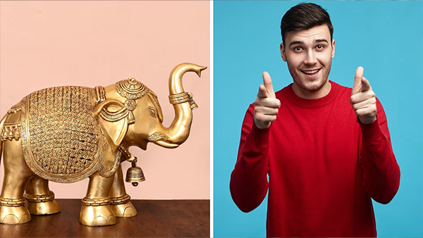 Feng Shui Animals That Bring Good Luck in Kannada