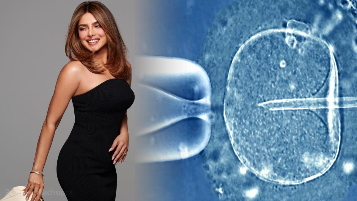 What Priyanka Chopra Jones Says On Freezing Her Eggs In Kannada What Priyanka Chopra Jones Says On Freezing Her Eggs In Kannada