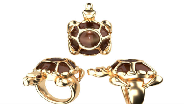  Tortoise Ring Attracts Money: Things to Be Aware of Before Wearing Tortoise Ring in Kannada