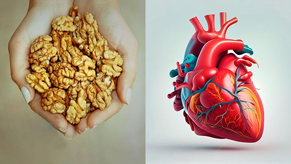 Best foods for heart patients