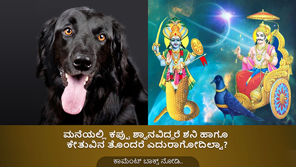 Astrological Benefits Of Petting Dog on Strengthening Shani and Ketu in Kannada Astrological Benefits Of Petting Dog on Strengthening Shani and Ketu in Kannada