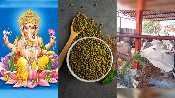 Budhwar upay for growth in career and business do these remedy on wednesday in Kannada