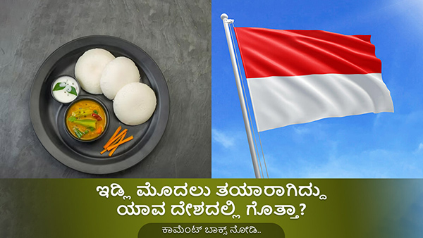 Origins of Idli - Where Did this Iconic Dish Originate? in Kannada