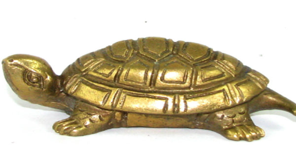 Feng Shui Tips That Brings Good Luck to Your Home in Kannada