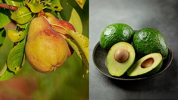 Top 10 Super Fruits For Diabetes In Rainy Season