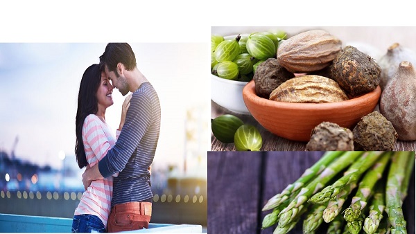 Ayurvedic Herbs to Balance Womens Hormones And Promote Husband Wife physical bond Ayurvedic Herbs to Balance Womens Hormones And Promote Husband Wife physical bond