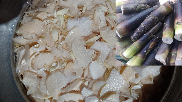 Health benefits Of Kanale Or Bamboo Shoot In Kannada