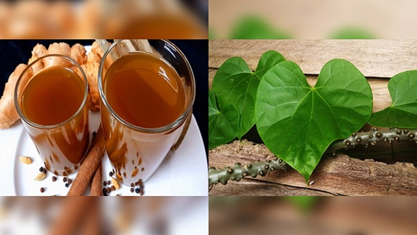 Rainy Season 2023: Amruthaballi Kashaya Recipe For Cold Cough In Kannada