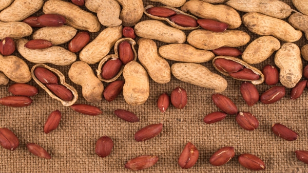 Almonds Vs Peanuts: Which One is Healthy and has More Nutrients in Kannada