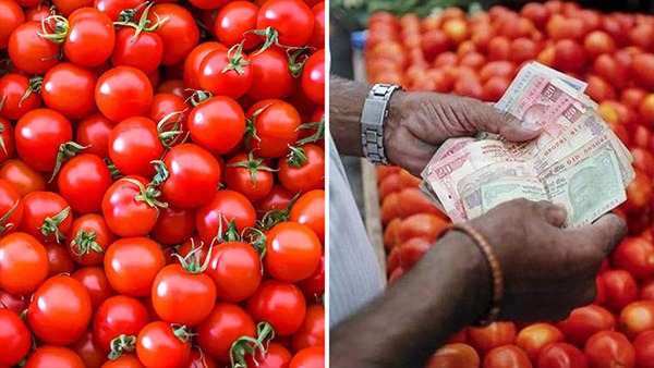 Tomato Price High: Funny Story About Tomato In Kannada