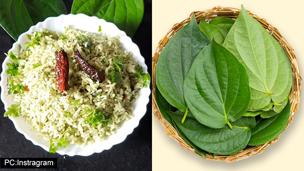Betel Leaf Chitranna: A Special Shravana Masa Delight Betel Leaf Rice in Kannada