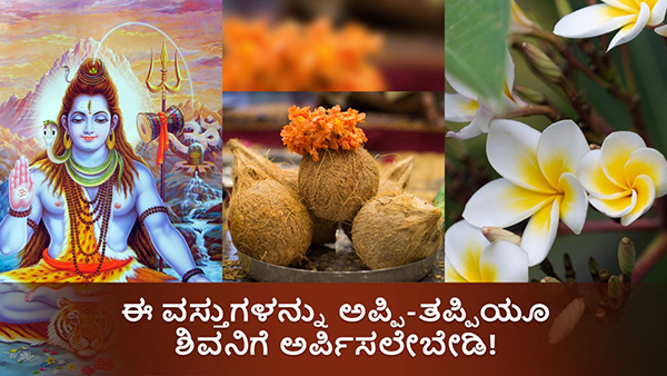 Never Offer These Items on the Shivlinga During Shiva Puja in Kannada