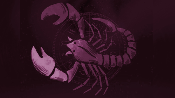 Venus Transit in Cancer 2023: Impact of Shukra Gochara On All Zodiac Signs In Kannada