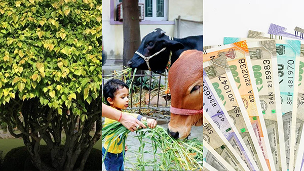 Astro Tips To Get Rid Off Loan in Kannada.