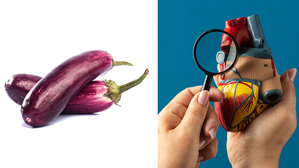 Brinjal Benefits For Patient Of Heart, Diabetes, Obesity And Cancer Know Baigan Benefits in Kannada.