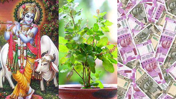 Follow these Astro Remedies on Krishna Janmashtami for Money and Family Problems and Santan Prapti in Kannada. Follow these Astro Remedies on Krishna Janmashtami for Money and Family Problems and Santan Prapti in Kannada.