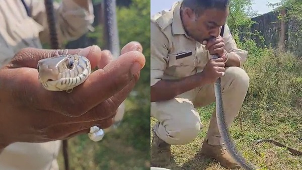 policeman gave CPR To Snake