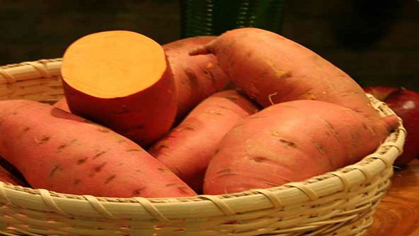 Sweet Potato In Winter