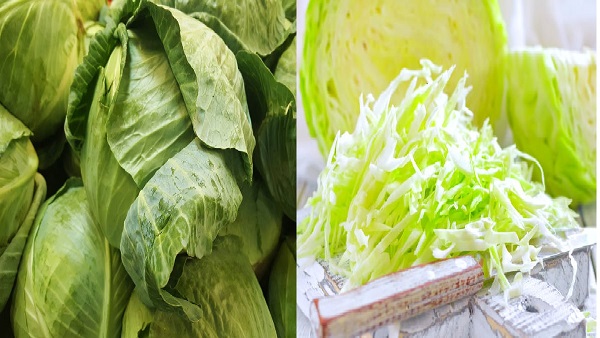  epilepsy from Cabbage