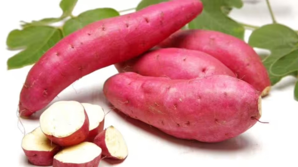 Benefits of eating sweet potato