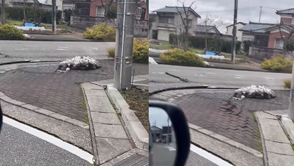 Japan’s earthquake