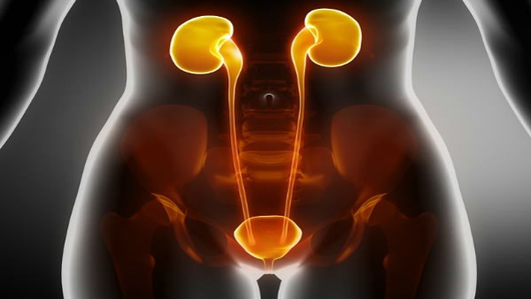 Kidney-Stones-Causes-Symptoms-in-Kannada