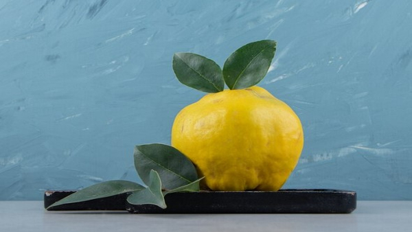 285-Year-Old Lemon Auctioned