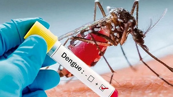 Dengue