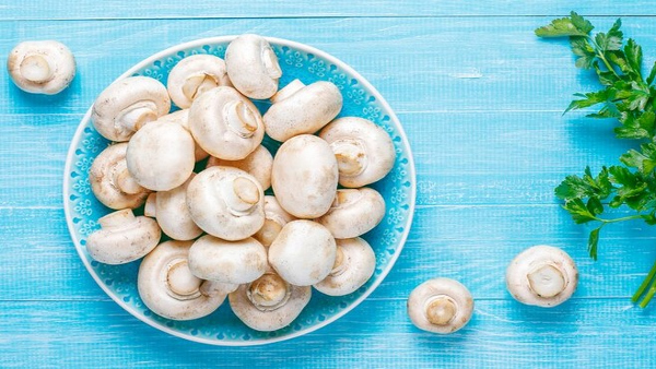 Health Benifits Of Mushrooms in Kannada