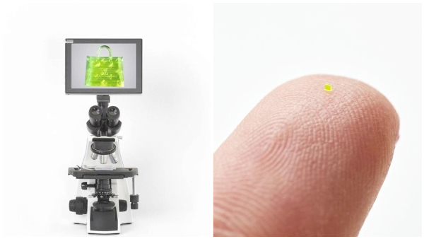 Louis Vuitton microscopic Salt Sized Bag