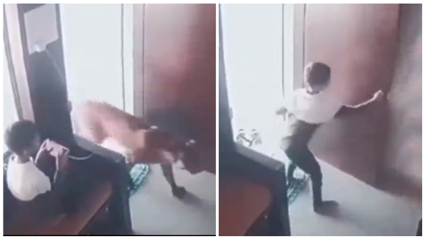 Boy Locks Leopard In A Room And Saves Life Video Gone Viral