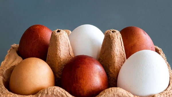 What Is Differences Between White And Brown Eggs What Is Differences Between White And Brown Eggs